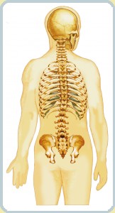 skol-I.jpg skol-I.jpg