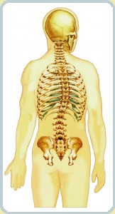 skol-II.jpg skol-II.jpg