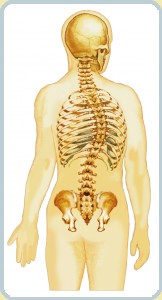 skol-III.jpg skol-III.jpg