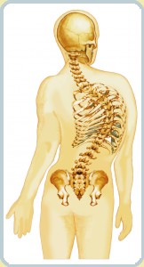 skol-IV.jpg skol-IV.jpg